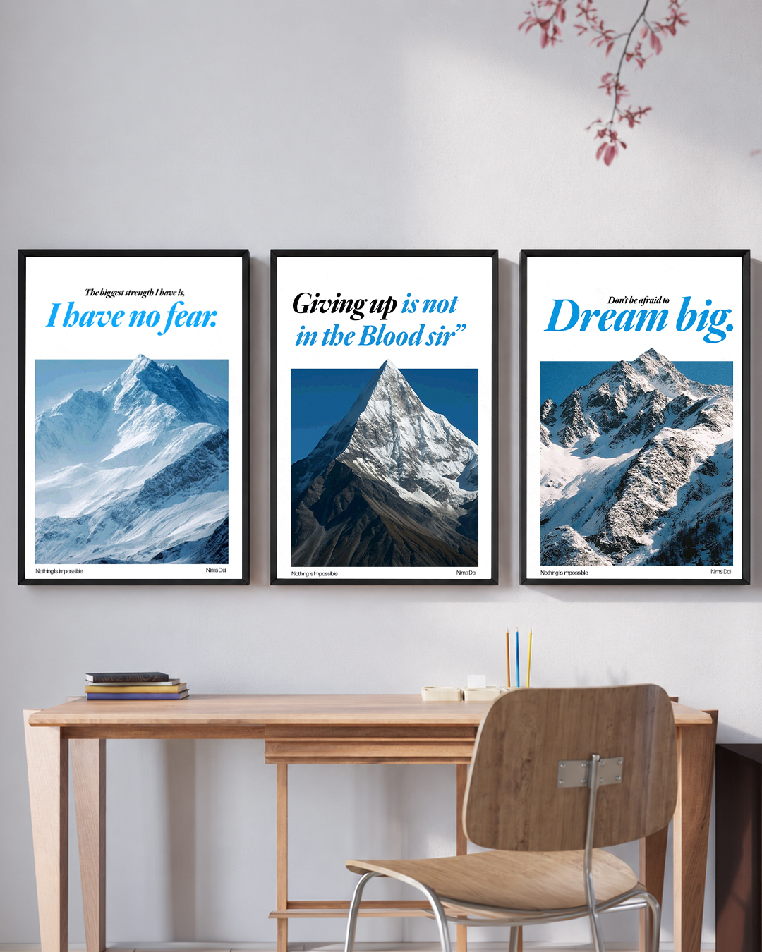 NIMS DAI MOTIVATION – 3 FRAME POSTER SET